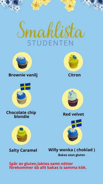 Mini student cupcakes